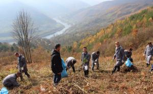 Učenici Gazi Husrev-begove medrese posadili sadnice u Memorijalnoj šumi 8372